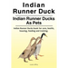Indian Runner Duck. Indian Runner Ducks As Pets. Indian Runner Ducks book for care, health, housing, feeding and training.