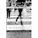 Russian Verbs of Motion: The Workbook