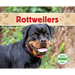 Rottweilers