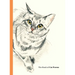 The Book of Cat Poems