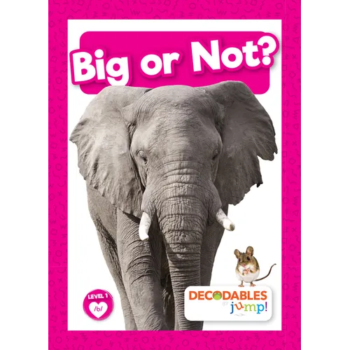 Big or Not?