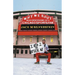 Why We Root (Vol. 1): Mad Obsessions of a Chicago Sports Fan