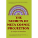The Secrets of Meta-Cosmic Projection