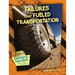 Failures That Fueled Transportation