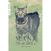 Manx: Cat Breed Complete Guide