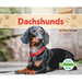 Dachshunds