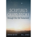 Scripture's Grand Story Through the Old Testament