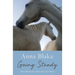 Going Steady: More Relationship Advice from Your Horse