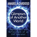 Glimpses of Another World: Impressions and Reflections of an EVP Operator