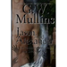 Jason and Alexander A Gay Paranormal Love Story (Revised Second Edition)