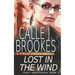 Lost in the Wind