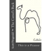 The Camel's Back