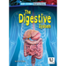 The Digestive System