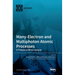 Many-Electron and Multiphoton Atomic Processes: A Tribute to Miron Amusia