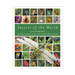 Insects of the World: An Illustrated Guide to the World's Most Abundant Creatures