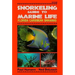 Snorkeling Guide to Marine Life Florida, Caribbean, Bahamas