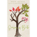 Seasons of Birth: A Year of Autonomous Birth Stories