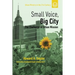 Small Voice, Big City: The Challenge of Urban Mission