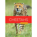 Cheetahs