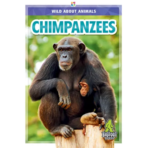 Chimpanzees