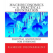 Macroeconomics-A Practical Foundation: Essential Knowledge for Everyone
