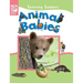 Animal Babies