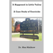 It Happened in Little Valley: A Case Study of Uxoricide