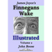 James Joyce's Finnegans Wake Illustrated: Volume 2