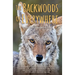 The Backwoods of Everywhere: Words from a Wandering Local