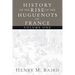 The Huguenots and Henry of Navarre, Volume 1