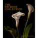 The Stebbins Collection: A Gift for the Morse Museum