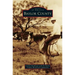 Baylor County