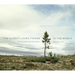 The Oldest Living Things in the World