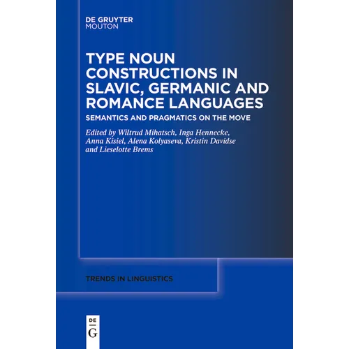 Type Noun Constructions in Slavic, Germanic and Romance Languages: Semantics and Pragmatics on the Move