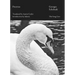Poetries