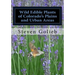 Wild Edible Plants of Colorado's Plains and Urban Areas