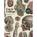 Cut and Collage A Treasury of Vintage Anatomy Images for Collage and Mixed Media Artists