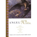 Angel Wisdom