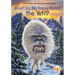 What Do We Know About the Yeti?