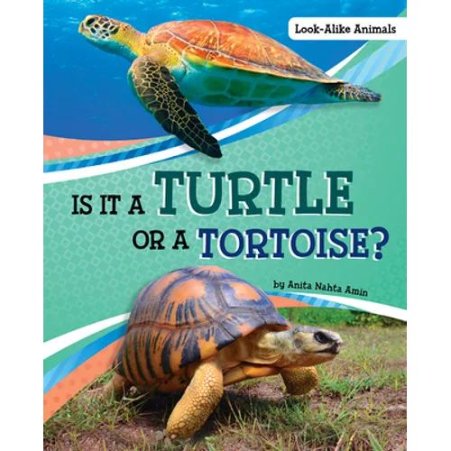 Is It a Turtle or a Tortoise?