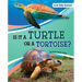 Is It a Turtle or a Tortoise?