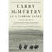 In a Narrow Grave: Essays on Texas