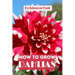 How to Grow Dahlias: Easy guide to planning, planting and growing