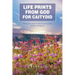 Life Prints from God for Caitydid: Twenty-One True Life Stories of Courage, Family, and Nature!
