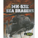 MH-53E Sea Dragons