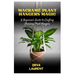 Macramé Plant Hangers Magic: A Beginner's Guide to Crafting Stunning Plant Hangers