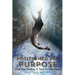 Positioned for Purpose: And The Destiny It Took To Get There