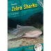 Zebra Sharks