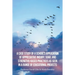 A Case Study of a School's Application of Appreciative Inquiry, Soar, and Strengths-Based Practices as Seen in a Range of Educational Projects