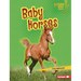 Baby Horses